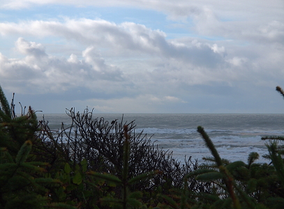 [Several different types of evergreens in the foreground partially block the view of the ocean. Puffy white clouds cover most of the blue sky.]